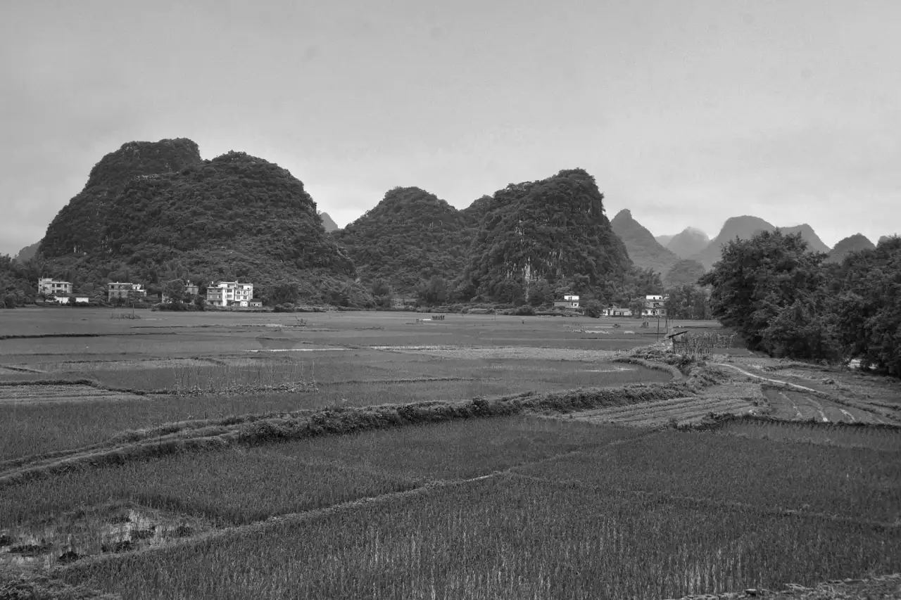 粤港澳大湾区知识产权保护协作机制最新进展与实务应用
